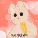 멍샤워 이미지
