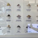 영커피 마린시티점 이미지