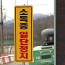 KBS 한우농장 이미지