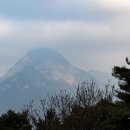 [스님의 하루]“변화는 혼란이 아니라 아주 좋은 경험입니다” 이미지