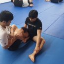 알파레슬링 네이버블로그