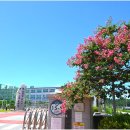 무안중학교 이미지