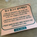 햇살로과수원 | 창원 디저트 맛집 추천 북면 과수원세레나데에서 즐긴 망고 실타래빙수