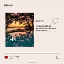 (주)나무와책 이미지