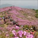 두레여성산악회 5월 산행안내(황매산) 철쭉산행 이미지