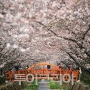 아지랑이 이미지