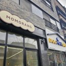 모모애견미용실 | 도안동 애견미용 모모랑 말티푸 곰돌이컷 클리핑 솔직후기