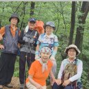746회 7월 15일 안산 산행 이미지