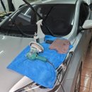 굿클리닝 | 제주에바크리닝까지 꼼꼼했던 제주굿덴트세차 다녀온 후기