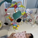 월령15 | 직접 사용해본 후기! 국민 아기 장난감 월령별 추천