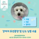 이랑동물병원 이미지