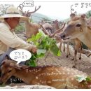보현산농장 이미지