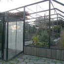 레인보우 앵무 이미지