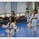 용인대 한얼 태권도 이미지