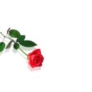 아름다운 소녀의 집 이미지