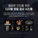 더앞선치과병원 Daum카페