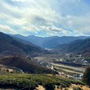 정금마을 차밭 앞 이미지