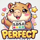 전통주와 캠핑의 콜라보! 백화수복 X 800도씨 이벤트 후기 800도씨반합