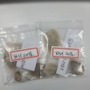 바니테일 도착^^ 이미지