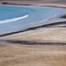 창흥동해수욕장 이미지