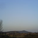 고목나무 이미지