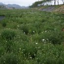 명보장여관 이미지