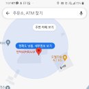 언덕위커피나무