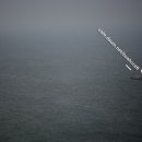 in 섬 story 이미지