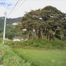 내동마을 입구 이미지