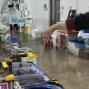 농수산물 도매시장 내 입구 경비실 | 수원 농수산물도매시장 방문기 | 별안간 방어를 막 그냥 콱 그냥 잡아버리는 희망수산