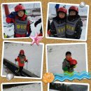 용인대석사체육관 이미지