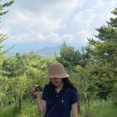 티 클래스 <첫 번째 시간> 차(茶)랑 썸타기 | [JEJU] 엄마랑 딸이랑 제주 4박 5일 기록 🍊🌳