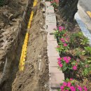 선덕여고앞 이미지