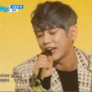 허스키 사랑 이미지