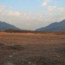 우면산3-12 이미지