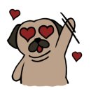 이든 동물의료센터 이미지