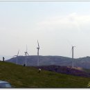 삼양축산 이미지