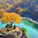 사진 찍다 시간 가는 줄 모를 만큼 아름다워요&#34; 살면서 꼭 가봐야 할 이국적인 단풍 명소 이미지