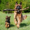 담아내기 이미지