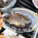 조개회먹는날 이미지