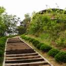 창녕 우포늪 이미지