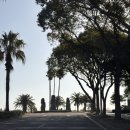 다원 맛칼국수 | 3박4일 제주여행 제주올패스 오또도넛 수망다원 성산 봄죽 칼국수 성산포유람선 종달리 책계일주