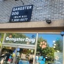 갱스터 도그 이미지