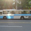 하나은행 범일동지점앞 이미지