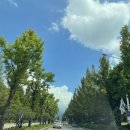 스마트해법수학남원주점 학원 이미지