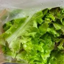 시장야채 이미지