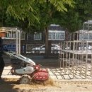 구리초등학교(병설) 이미지