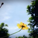 행운게임방 이미지