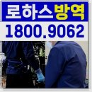 로하스방역