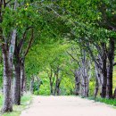 회동주차장 이미지